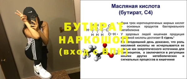 индика Алексин