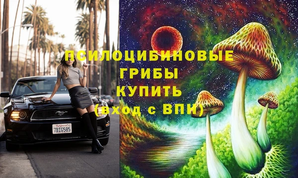 индика Алексин