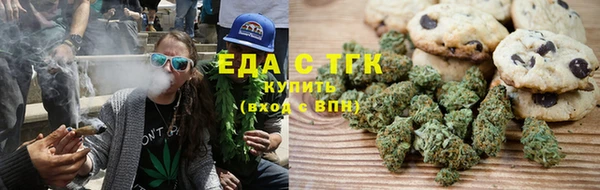 индика Алексин