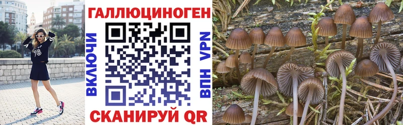 Псилоцибиновые грибы прущие грибы  kraken зеркало  Верхоянск 